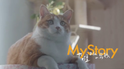 ��������Щ�����밮�������ҵ����� ��ذ����˶���