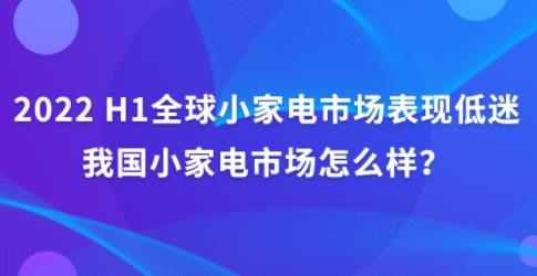 2022 H1ȫ��С�ҵ��г����ֵ��ԣ��ҹ�С�ҵ��г���ô����