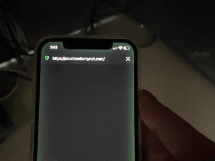 iPhone12ɢ�����̹⡱����������̳ �����²�