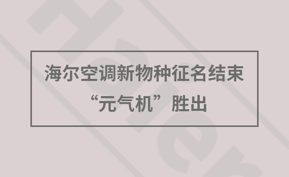 �����յ��������������� ��Ԫ������ʤ��