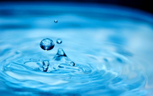 ����ˮҵʢ��,2019��ˮ��ῪĻ���ܴ���