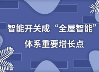 ���ܿ��سɡ�ȫ�����ܡ���ϵ��Ҫ������