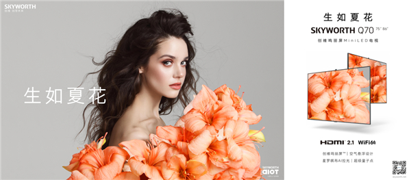 ��άQ70������MiniLED�����ذ����� ���조�����족����Ƭ