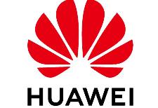 ��ΪMetaERP�ɹ�ʵ���з����滻��ʲô��˼��