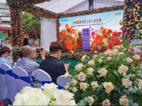 ������Ķ�߲�õ�� ����M����ȫ�污����502WQ3S��������