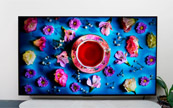 ����618��TCL Mini LED������ǰʮռ�ŵ��������ģ�