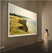 �������⣬��ά��ֽ���������԰�618����Ʒ�����NO.1