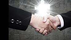 ������ɶԶ�֥��˾ӵ�е�95%��֥������Ȩ���չ�