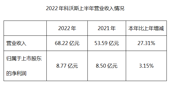 ����˹����2022���ϰ���ȱ��棺���ղ��������Ż�����