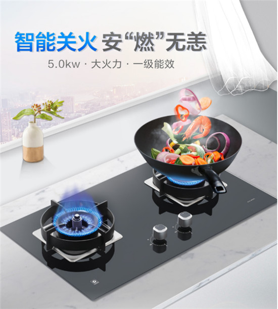 SAKURAӣ��ȼ����Ƽ����ܣ��������ȼ������